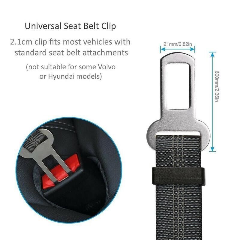 PawNest Safety Seat Belt (2-Pack)