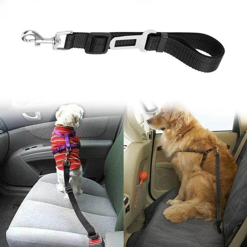PawNest Safety Seat Belt (2-Pack)
