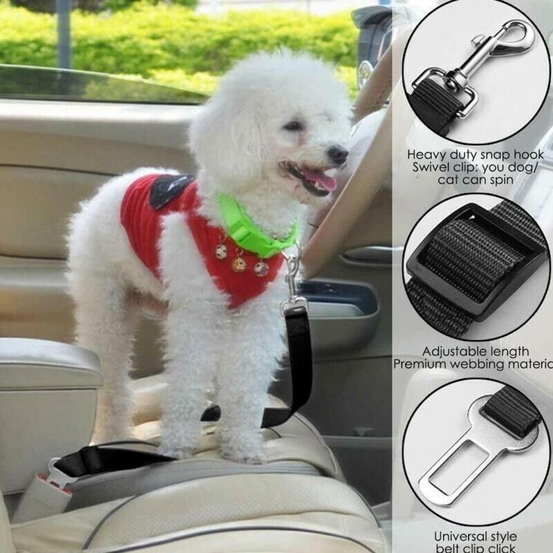 PawNest Safety Seat Belt (2-Pack)
